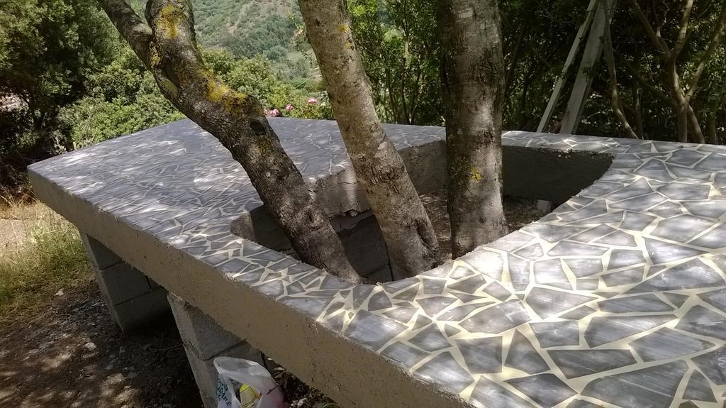 Hotel Valle Del Cedrino Galtellì Kültér fotó
